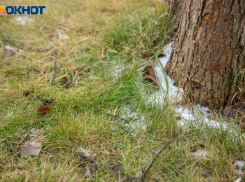 Резкое потепление придет в Волжский: прогноз погоды