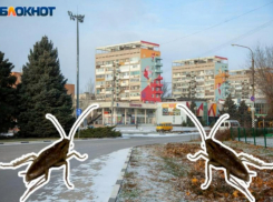Нашествие тараканов в Волжском: причины, особенности и опасности