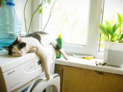 Региональное ГУ МЧС предупреждает о жаре до +42 ºС 