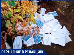 Платежные документы валялись за кустом