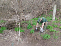 Житель Волжского должен выплатить более 1,38 млн рублей за загрязнение почвы