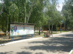 Сожженные глаза детей прокомментировала администрация Волгоградской области