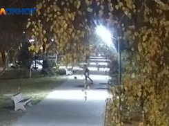 Мусорные дуэлянты извинились на камеру за разгромленный сквер в Волжском