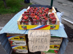 Волжских дачников штрафуют за нелегальную продажу фруктов и овощей