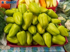 Волжанам рассказали, какие продукты поддержат иммунитет и как помочь организму после зимы