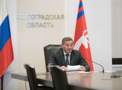 Утверждены первые кандидаты в Общественную палату Волгоградской области: полный список