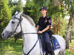 В Волжском начала работу конная полиция