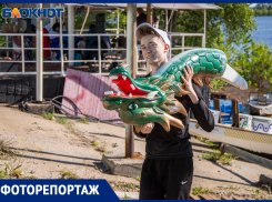 Волжский разбудил драконов: первый в истории чемпионат области по гребле на лодках «Драконах» 