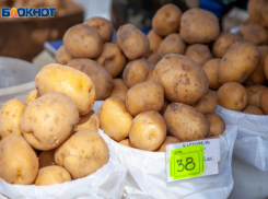 Продуктовая корзина: сравниваем цены на картофель в магазинах Волжского