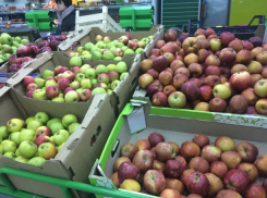 Самый дорогой «адамовый» фрукт оказался в «Карусели»