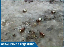 После дождя вместо грибочков во дворе выросли фунфырики, - волжанка