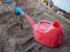 «На улице жара +30, а поливать нечем»: волжанка о воде в СНТ «Строитель»