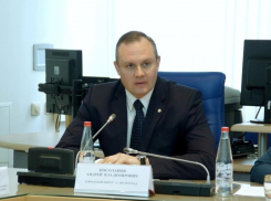 Ушел в отставку вице-губернатор Андрей Косолапов