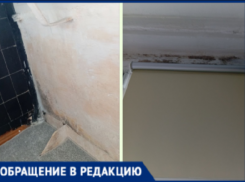 В Волжском пенсионерка 10 лет не может добиться сноса козырька, разрушающего ее квартиру