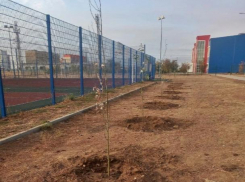 В Волжском будет цвести миндаль