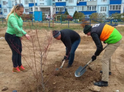 Администрация Волжского подвела итоги благоустройства в 2019 году