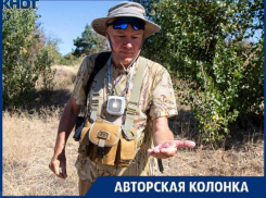 «Не трогайте их»: Феликс Ратавнин рассказал о кактусах в пойме
