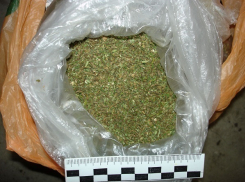 Волжанину грозит 20 лет заключения за 1,5 килограмма марихуаны