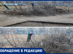 Дети почти год играют среди свалки сухостоя во дворе Волжского