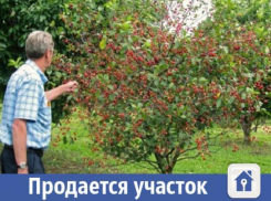 Волжанам предлагают купить райский уголок