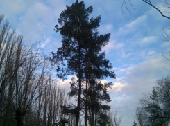 Облачную погоду спрогнозировали волжанам в День работника наркоконтроля