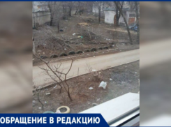 Растаявший снег обнажил волжские «подснежники»: горы мусора и спиленные ветки во дворах города