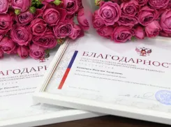 Волжанка удостоена благодарности председателя Совета Федерации РФ