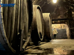 В Волжском запретят продажу алкоголя из-за студенческого праздника