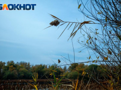 Международный мужской день обещает волжанам «минус» и солнце