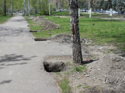 В Волжском бизнесмены заплатят за порчу растений 