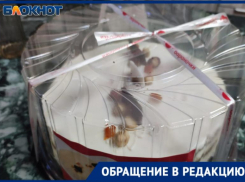 Вернули деньги, извинились и привезли новый торт: магазин извинился перед волжанкой за испорченное Рождество
