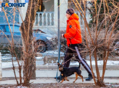 Погода все простит: в Прощенное воскресенье потеплеет