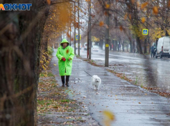 Снег, дожди и ураганный ветер: суровая погода придет в конце ноября в Волжском
