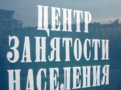 Центр занятости населения Волжского проводит ярмарку вакансий