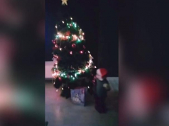 Волжане присоединяются к флешмобу «Новогодний бум» 