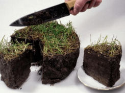 В Волгограде коммерсанты платят за аренду 2 копейки в год 