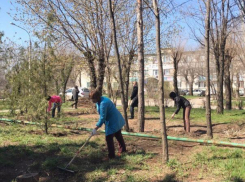 Месячник по благоустройству в Волжском продлили еще на две недели
