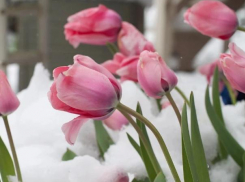 Скользкие дороги, туман и +1 подарил волжанкам Международный женский день