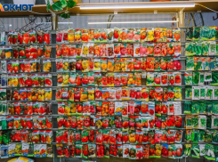 Весна пришла пора на дачу! Все для  успешного огородного сезона в  магазине «Дачный рай»