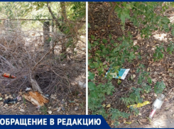 Наркопритон у школы №6 в Волжском: опасная частная территория ждет внимания властей