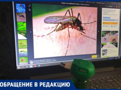 «Кровопийцы истерзали ночью жителей острова Зеленый»: проблемы жителей Волжского