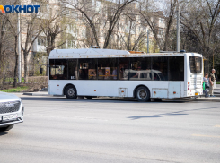 Волжский запускает дачные маршруты: расписание движения с 29 марта