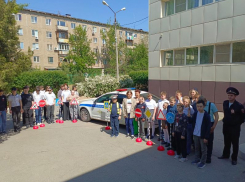 В Волжской школе №1 прошло профилактическое мероприятие «В мире ПДД»