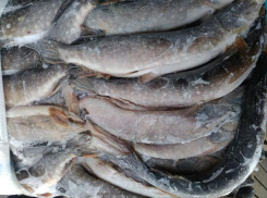 Пятнадцать килограммов рыбы не прошли контроль 