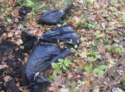 Мать двоих детей, расчленившую мужа, отправили в СИЗО