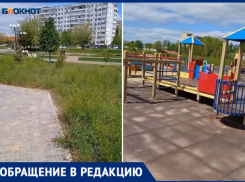 Волжанам испортили праздник гудящими косилками и летящей травой: видео