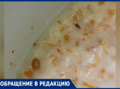 Разбавленное водой пюре и каша с насекомыми: как кормят в детской больнице Волжского