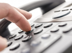 Волжан призывают жаловаться на вонючую травлю по телефону