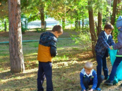 Юные волжане стали участниками субботника «Зеленая Россия»