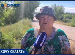 Волжские дачники обвинили правление СНТ в срыве собраний и фальсификации голосований